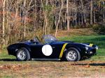 Shelby Cobra 289 Factory Competition 1962 года